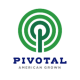 Pivotal Feeds Logo