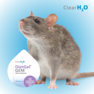 Clear H2O DietGel GEM Boosting the Health and Vitality for rats and mice.